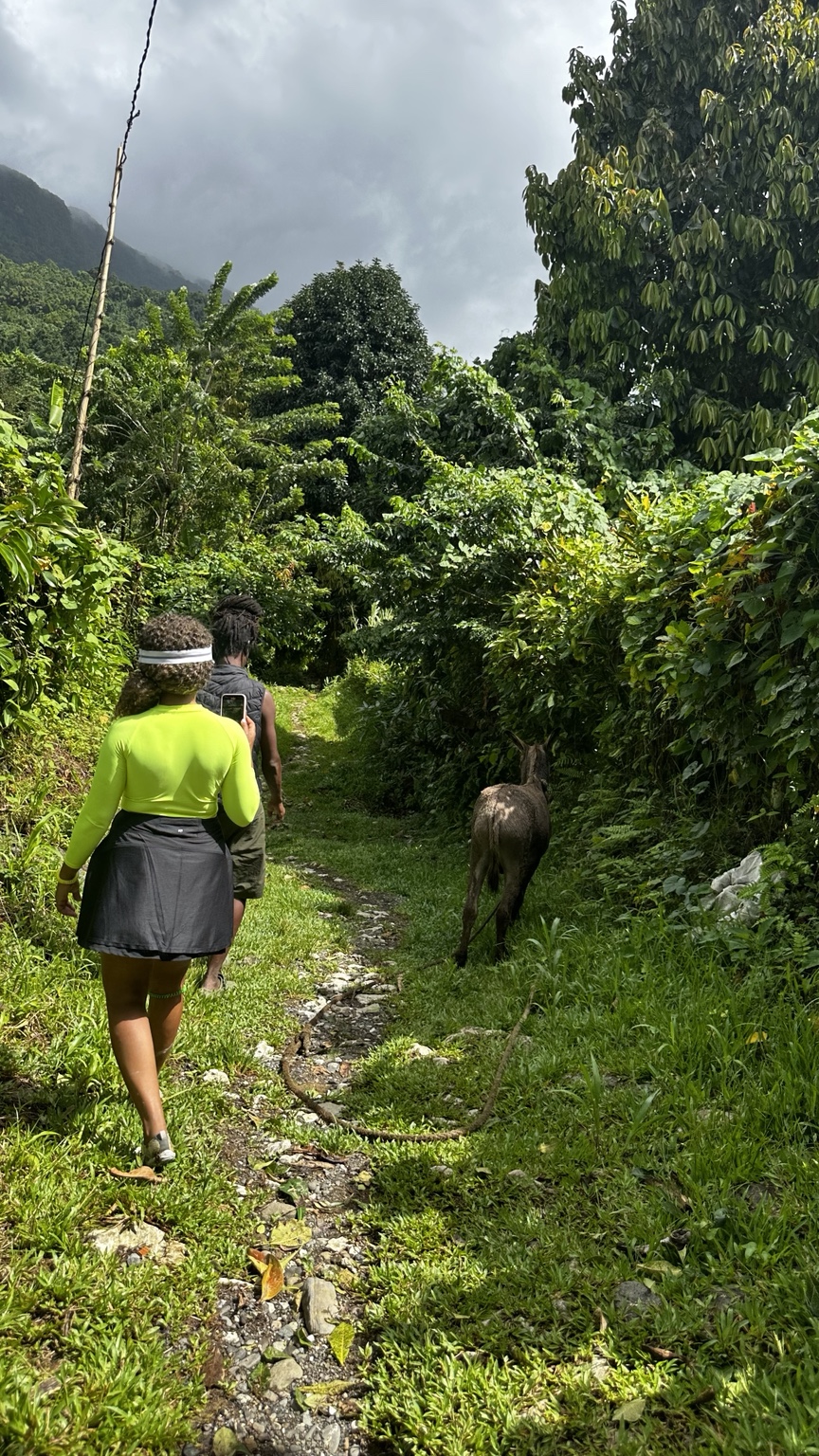 Land and legacy in Jamaica